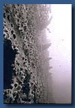 Wand Steuerbord 48 m/Wall Starboard 48 m.