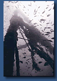Hauptmast/Main Mast 45 m.